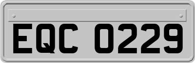 EQC0229
