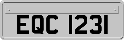 EQC1231