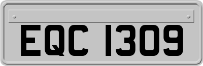 EQC1309