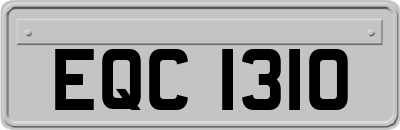 EQC1310