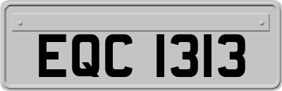 EQC1313