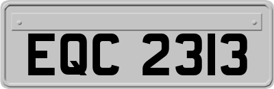 EQC2313