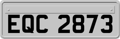 EQC2873