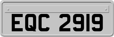 EQC2919