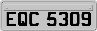 EQC5309