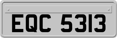 EQC5313