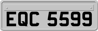 EQC5599