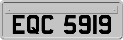 EQC5919