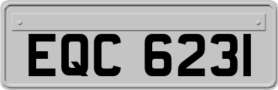 EQC6231