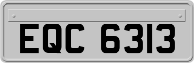 EQC6313
