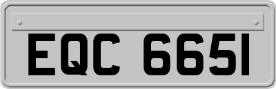 EQC6651
