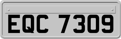 EQC7309