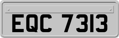 EQC7313