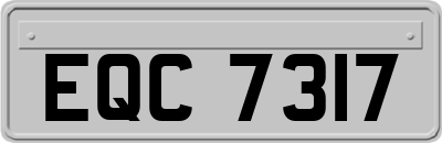 EQC7317