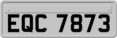 EQC7873