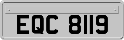 EQC8119