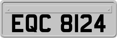 EQC8124