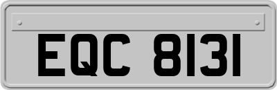 EQC8131