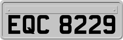 EQC8229