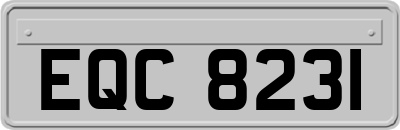 EQC8231