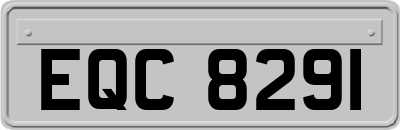 EQC8291