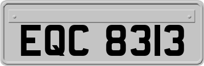EQC8313