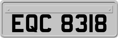 EQC8318