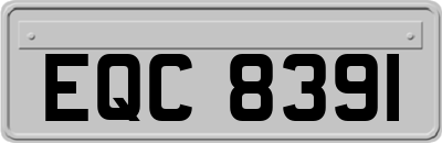 EQC8391
