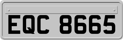 EQC8665