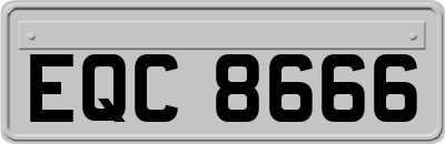 EQC8666