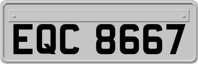 EQC8667