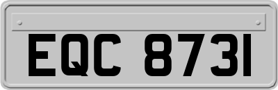 EQC8731
