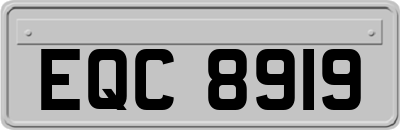 EQC8919