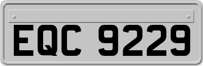EQC9229