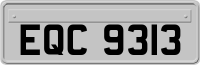 EQC9313