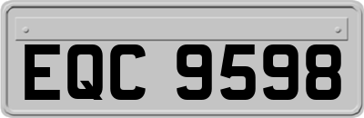EQC9598