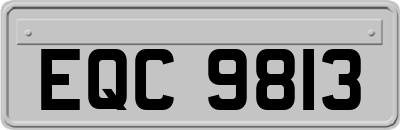 EQC9813