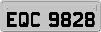 EQC9828