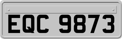 EQC9873