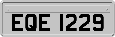 EQE1229