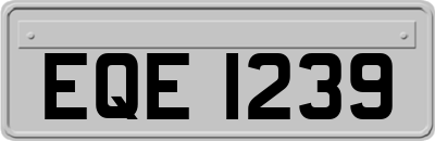 EQE1239