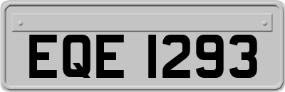 EQE1293