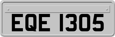 EQE1305