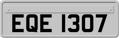 EQE1307