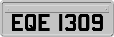 EQE1309