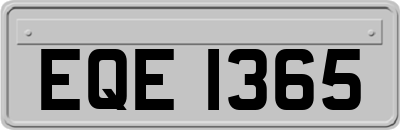 EQE1365