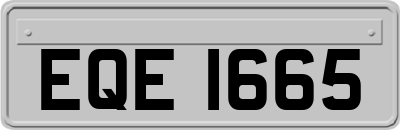 EQE1665