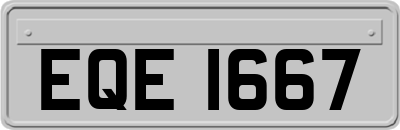EQE1667