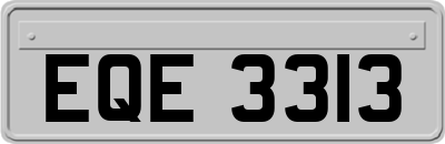 EQE3313