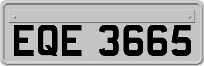 EQE3665